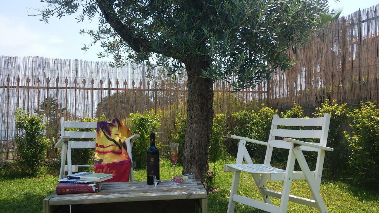 Apartament Etna Winery Zafferana Etnea Zewnętrze zdjęcie